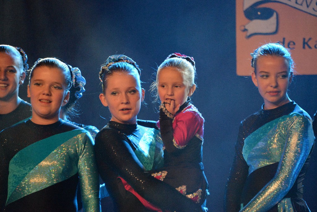 ../Images/Dansmarieke Festival 2016 103.jpg